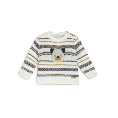 Boys Bronze Printed Pullover